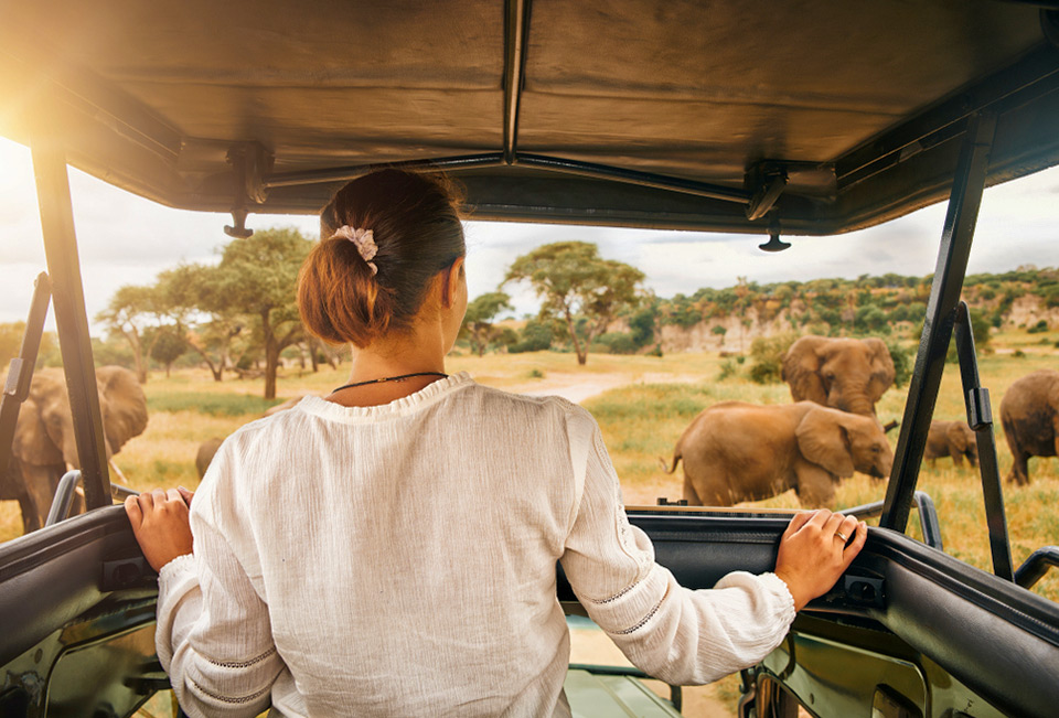 Sri Lanka’s Breathtaking Natural Landscapes: A Tuk Tuk Adventure