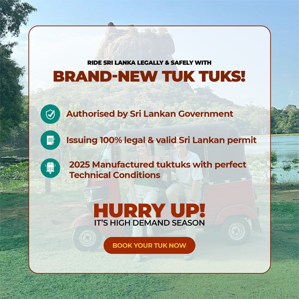 Promotional Banner